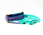 Hundehalsband "Nordlicht"